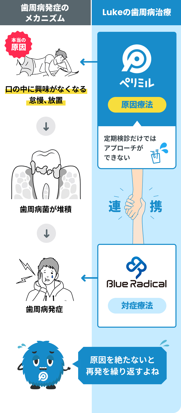 ペリミルの特徴